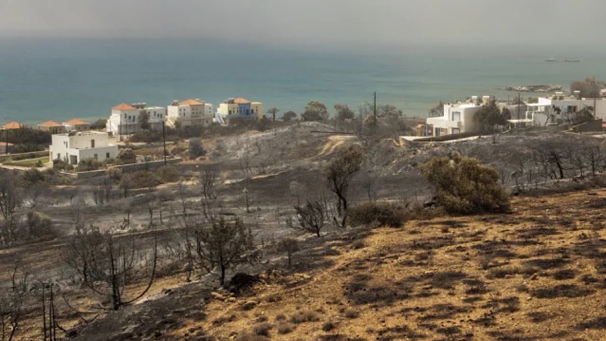 IMG 6642 | Lamianow.gr