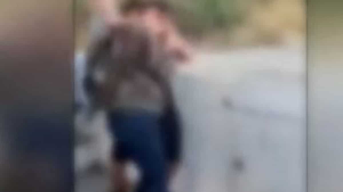 IMG 6688 | Lamianow.gr