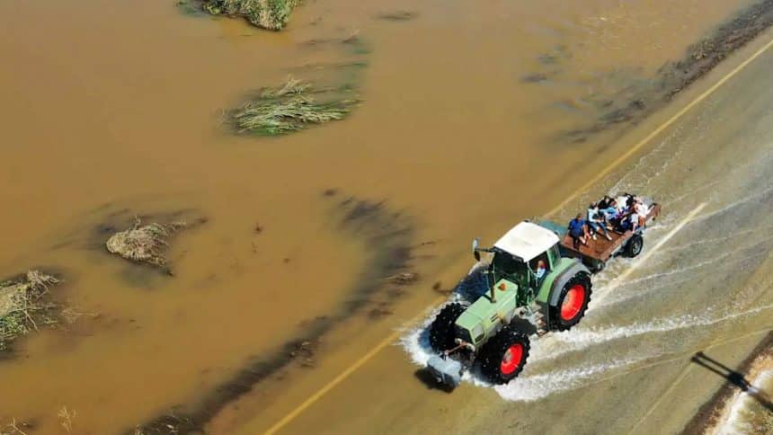 IMG 6719 | Lamianow.gr