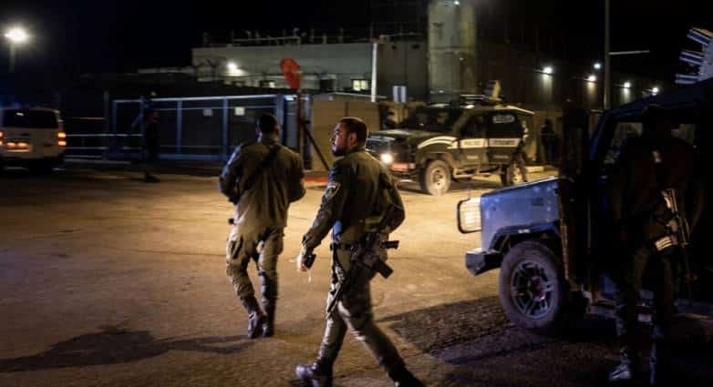 gaza stratiotes3 1 1024x678
