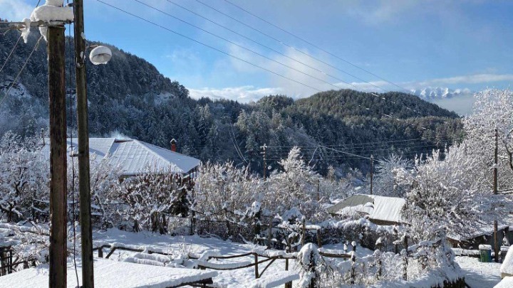 w14 103113received2172750013071123 | Lamianow.gr