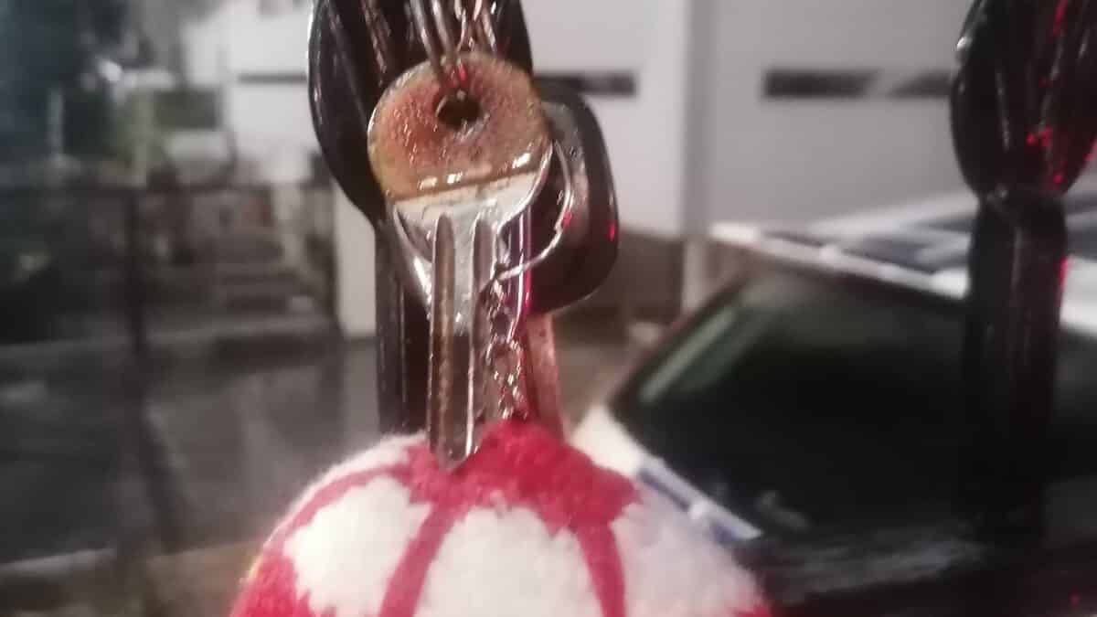 image0 3 | Lamianow.gr