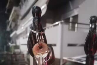 image0 3 | Lamianow.gr