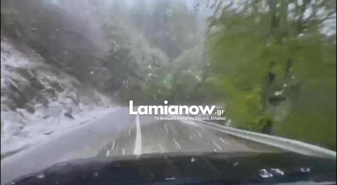https://lamianow.b-cdn.net/wp-content/uploads/2024/03/Iamia-Now-01-1-2-1-scaled.jpg