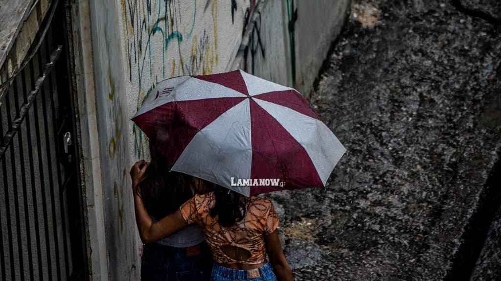 https://lamianow.b-cdn.net/wp-content/uploads/2024/03/Iamia-Now-01-1-2-1-scaled.jpg