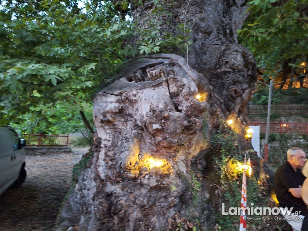 https://lamianow.b-cdn.net/wp-content/uploads/2024/03/Iamia-Now-01-1-2-1-scaled.jpg