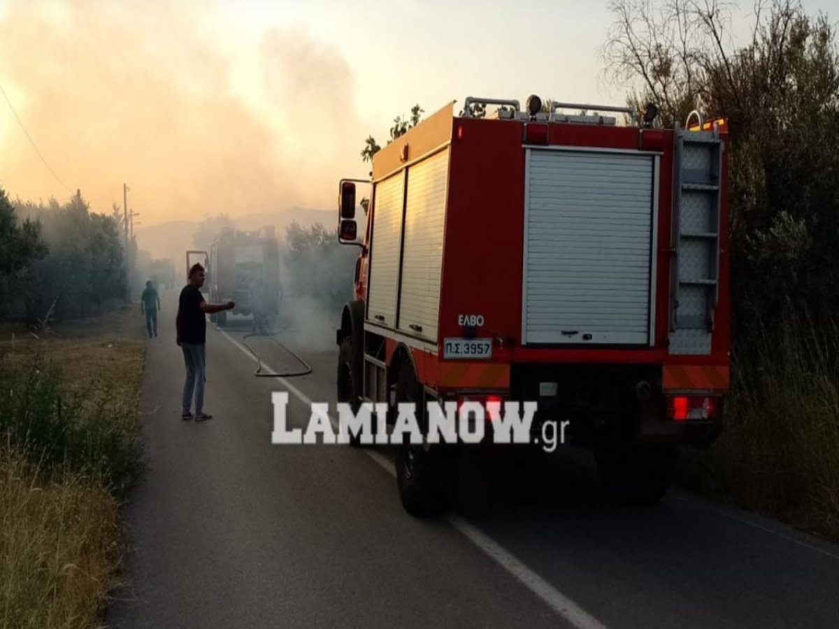 https://lamianow.b-cdn.net/wp-content/uploads/2024/03/Iamia-Now-01-1-2-1-scaled.jpg