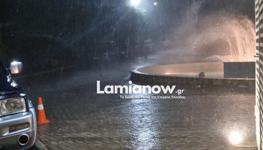https://lamianow.b-cdn.net/wp-content/uploads/2024/03/Iamia-Now-01-1-2-1-scaled.jpg