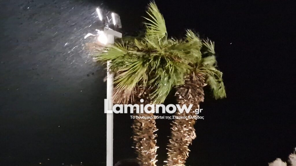 https://lamianow.b-cdn.net/wp-content/uploads/2024/03/Iamia-Now-01-1-2-1-scaled.jpg