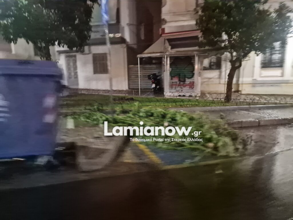 https://lamianow.b-cdn.net/wp-content/uploads/2024/03/Iamia-Now-01-1-2-1-scaled.jpg