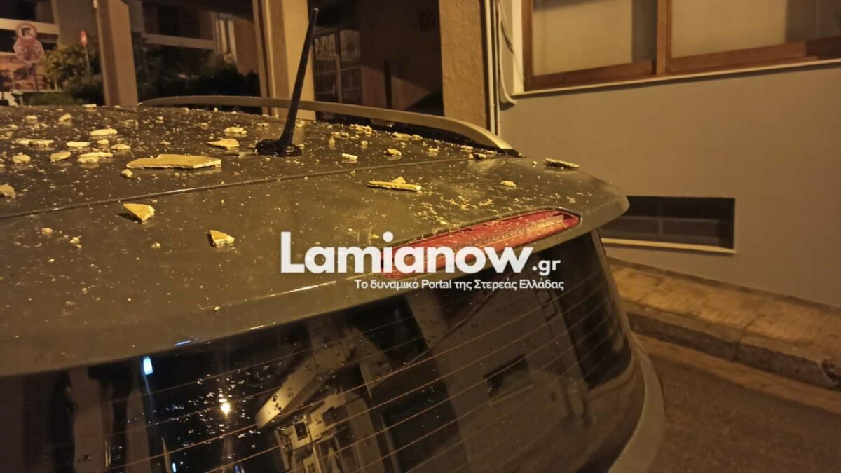 https://lamianow.b-cdn.net/wp-content/uploads/2024/03/Iamia-Now-01-1-2-1-scaled.jpg
