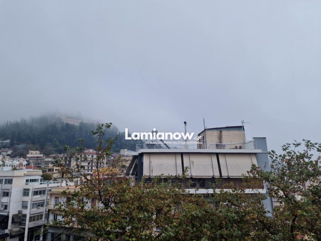 cf948eb0 4f9c 4269 81b8 7bb5ea77ac0b | Lamianow.gr