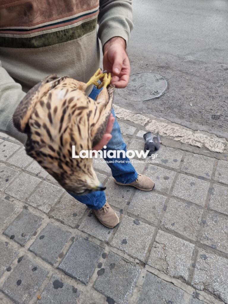 gerrrrraki | Lamianow.gr