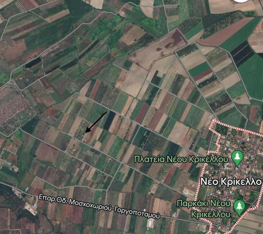 image1 | Lamianow.gr