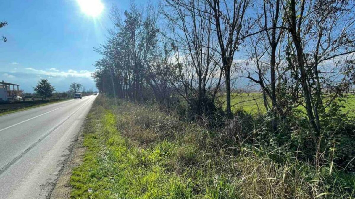 image2 | Lamianow.gr