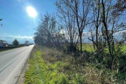 image2 | Lamianow.gr