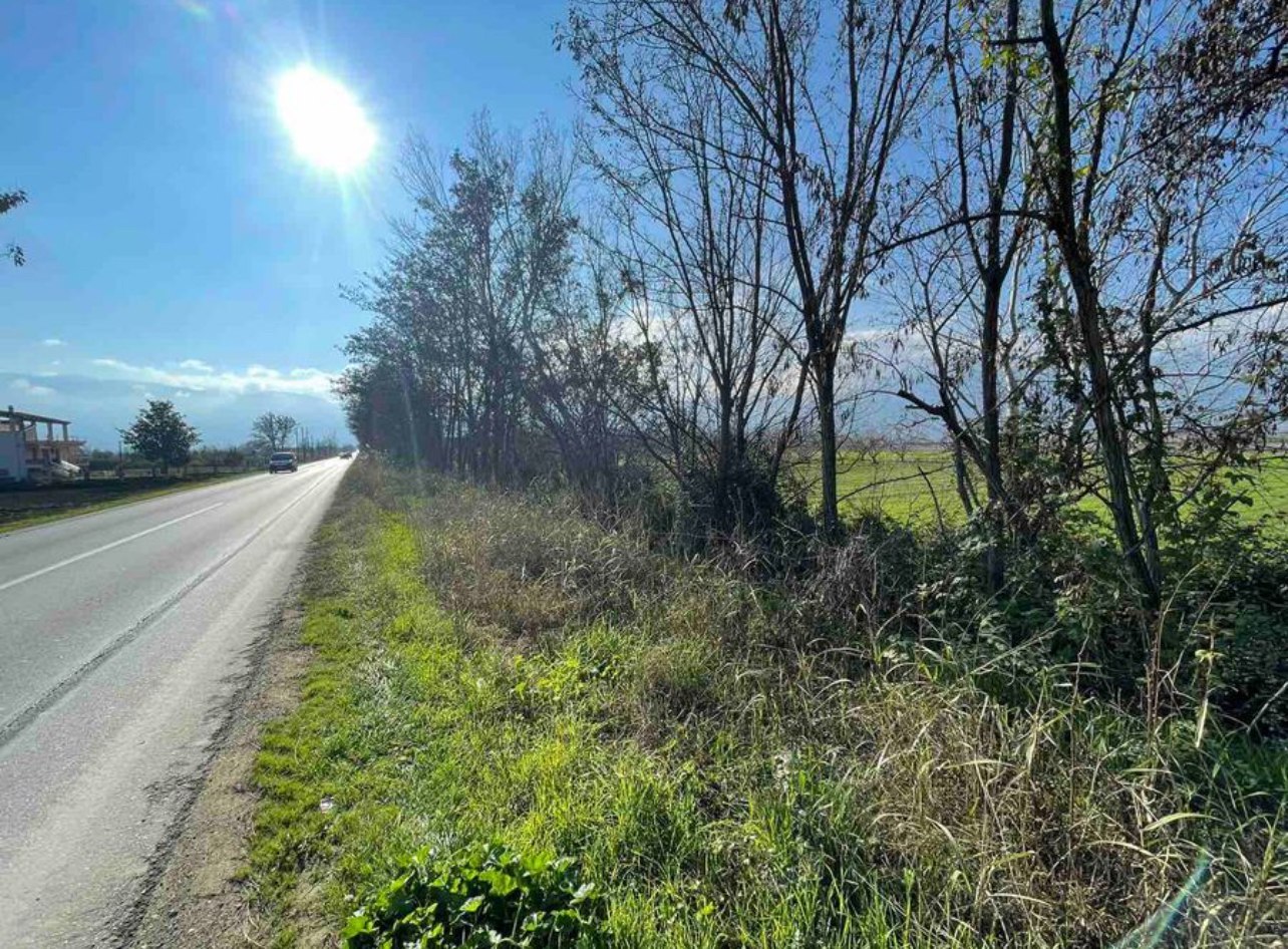 image2 | Lamianow.gr