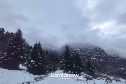 https://lamianow.b-cdn.net/wp-content/uploads/2024/03/Iamia-Now-01-1-2-1-scaled.jpg