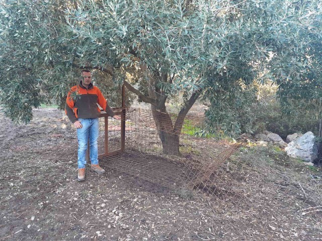 image0 | Lamianow.gr