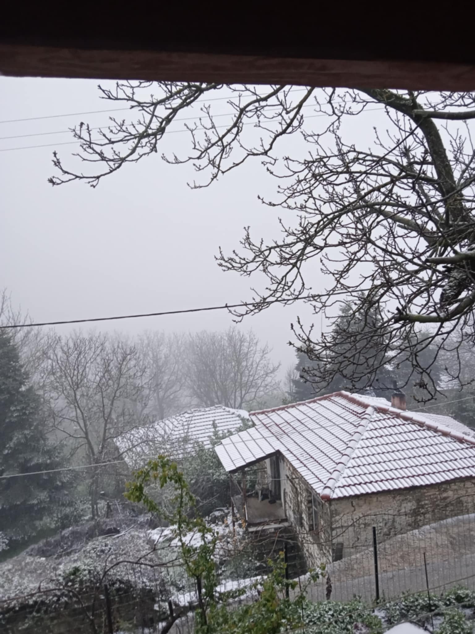 0fc76454 c42a 4a78 8d2e 002a0ca21d67 | Lamianow.gr