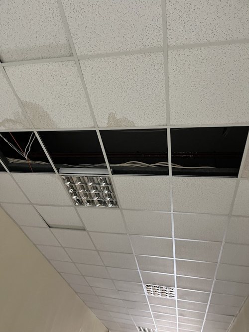 IMG 6889 | Lamianow.gr