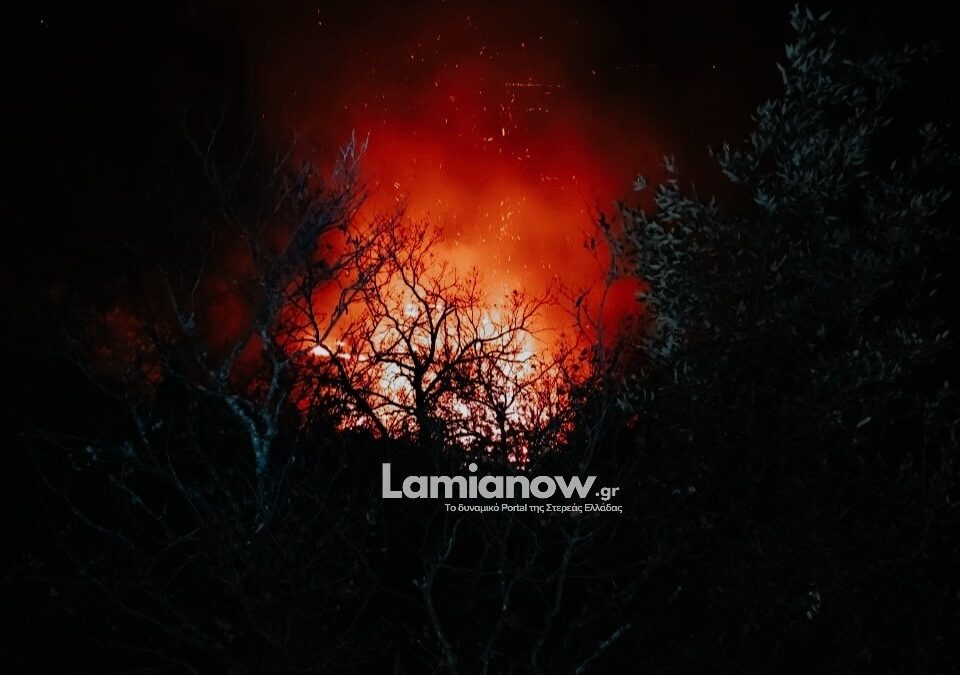https://lamianow.b-cdn.net/wp-content/uploads/2024/03/Iamia-Now-01-1-2-1-scaled.jpg
