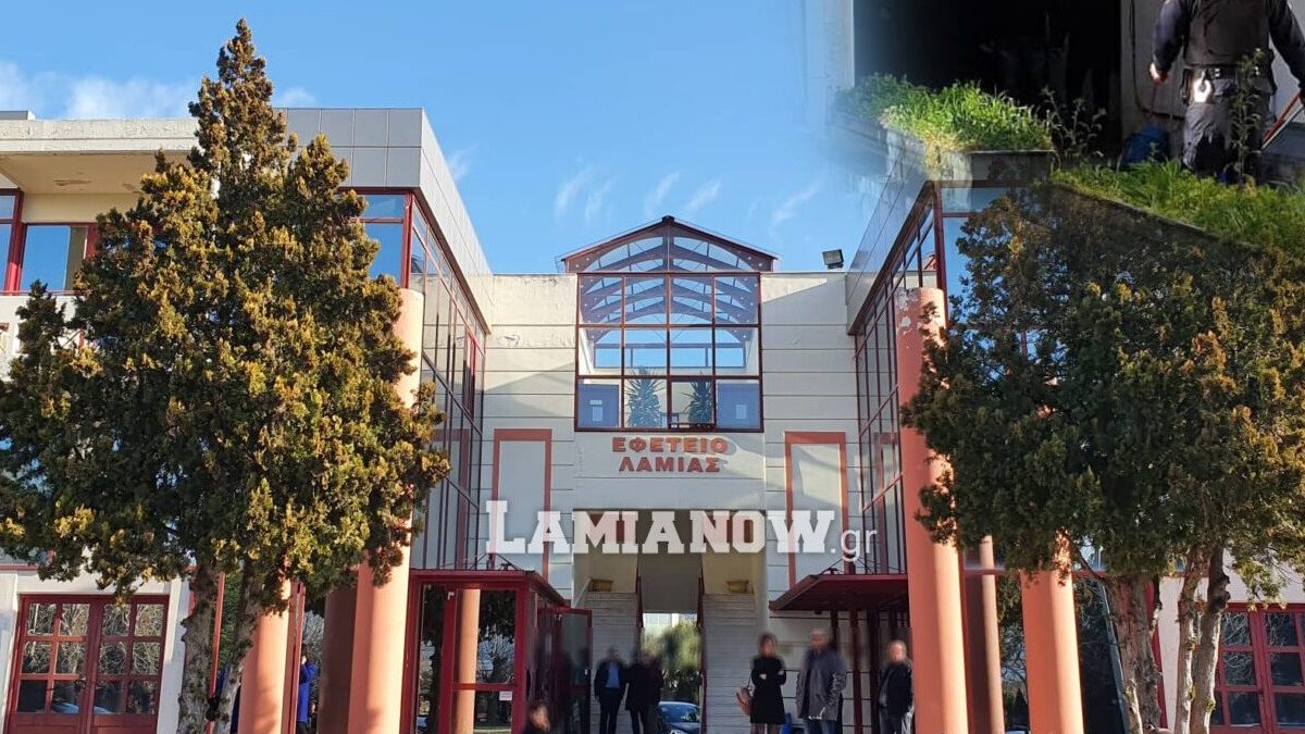 https://lamianow.b-cdn.net/wp-content/uploads/2024/03/Iamia-Now-01-1-2-1-scaled.jpg