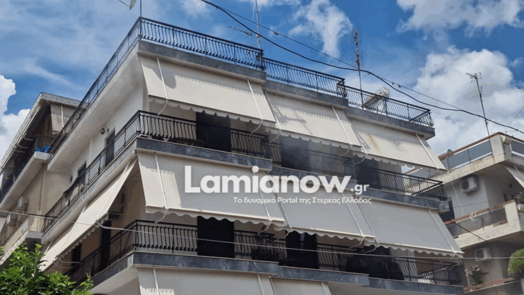 https://lamianow.b-cdn.net/wp-content/uploads/2024/03/Iamia-Now-01-1-2-1-scaled.jpg