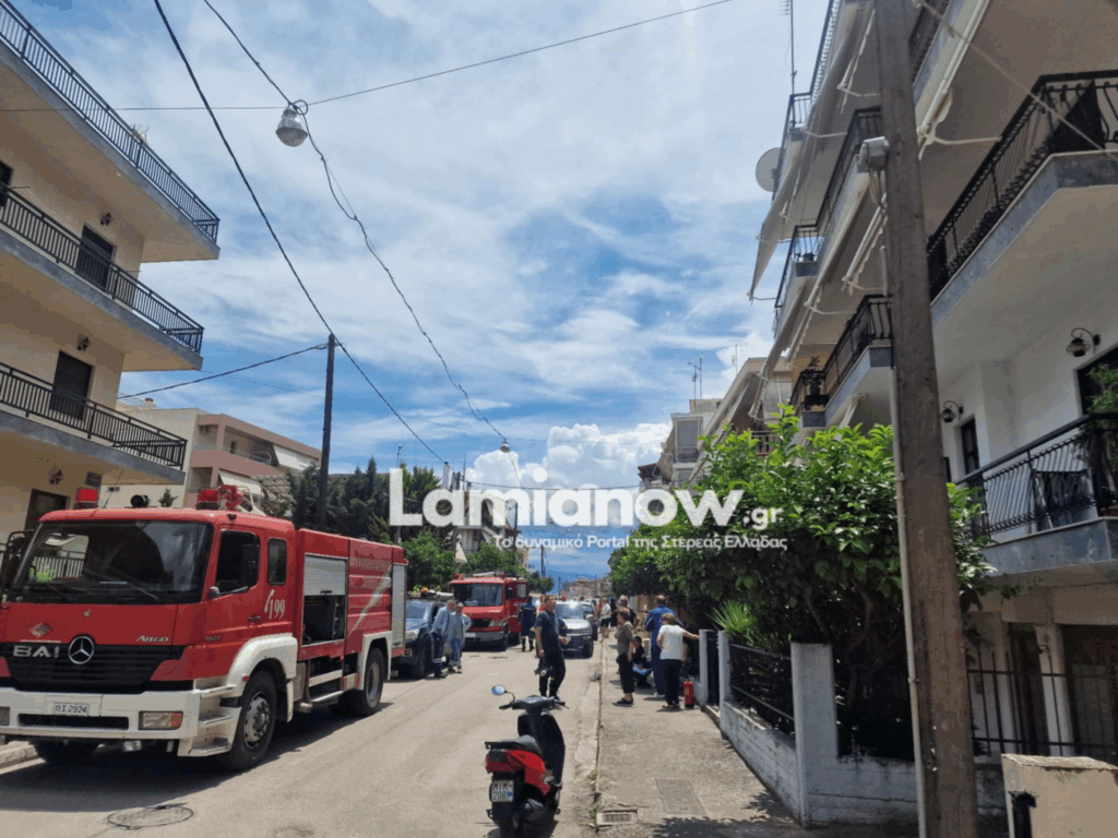 https://lamianow.b-cdn.net/wp-content/uploads/2024/03/Iamia-Now-01-1-2-1-scaled.jpg