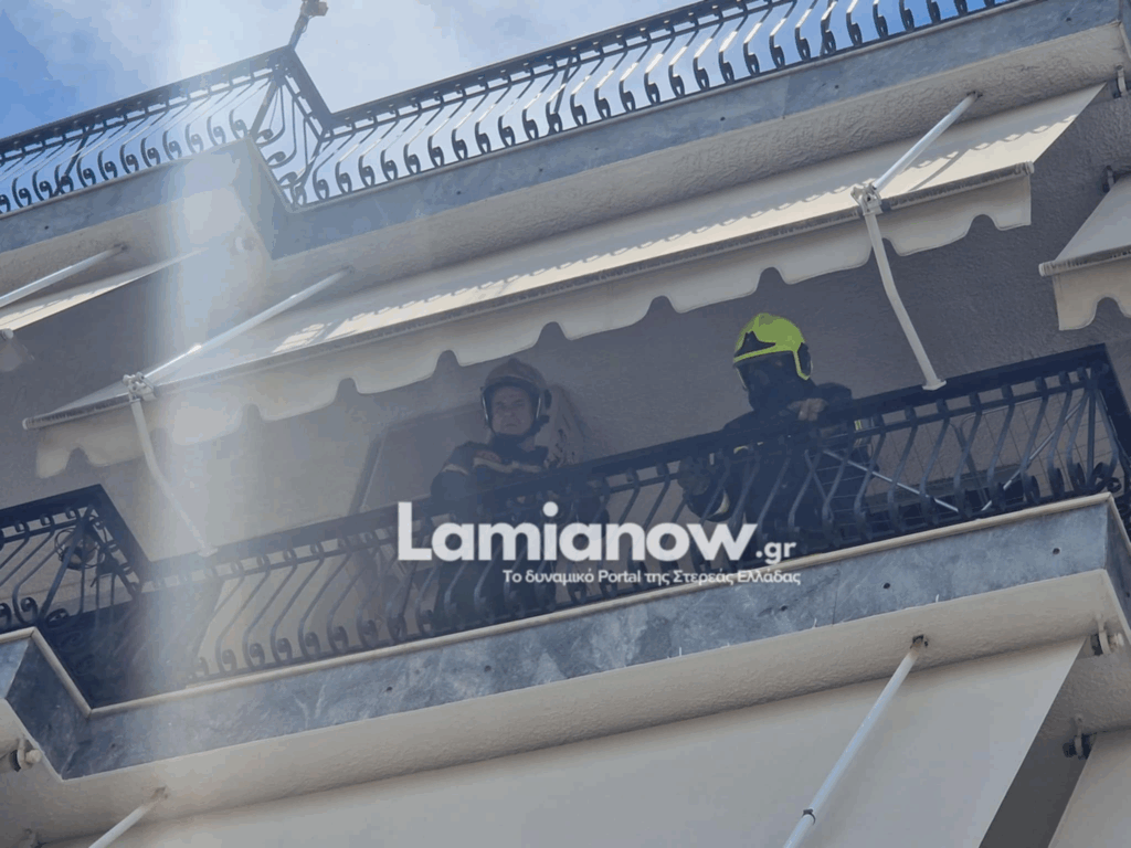 https://lamianow.b-cdn.net/wp-content/uploads/2024/03/Iamia-Now-01-1-2-1-scaled.jpg