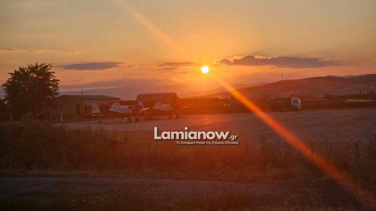 https://lamianow.b-cdn.net/wp-content/uploads/2024/03/Iamia-Now-01-1-2-1-scaled.jpg