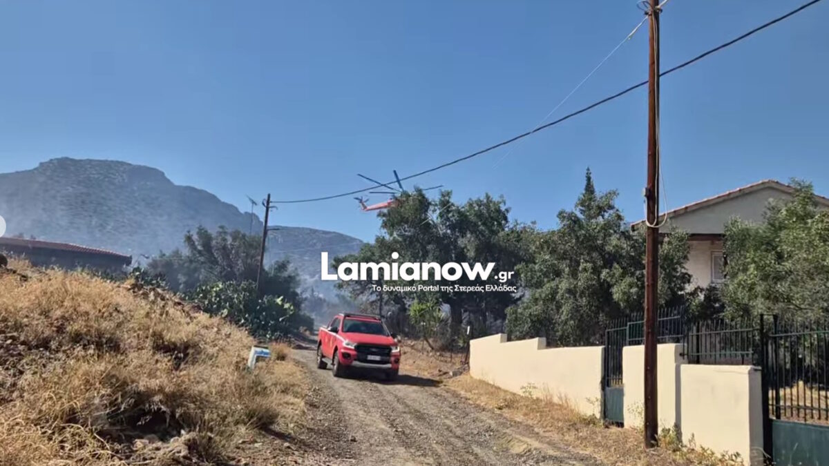 https://lamianow.b-cdn.net/wp-content/uploads/2024/03/Iamia-Now-01-1-2-1-scaled.jpg