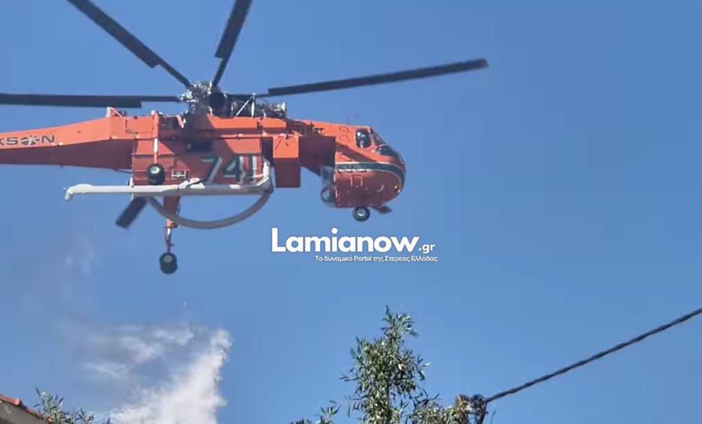 https://lamianow.b-cdn.net/wp-content/uploads/2024/03/Iamia-Now-01-1-2-1-scaled.jpg