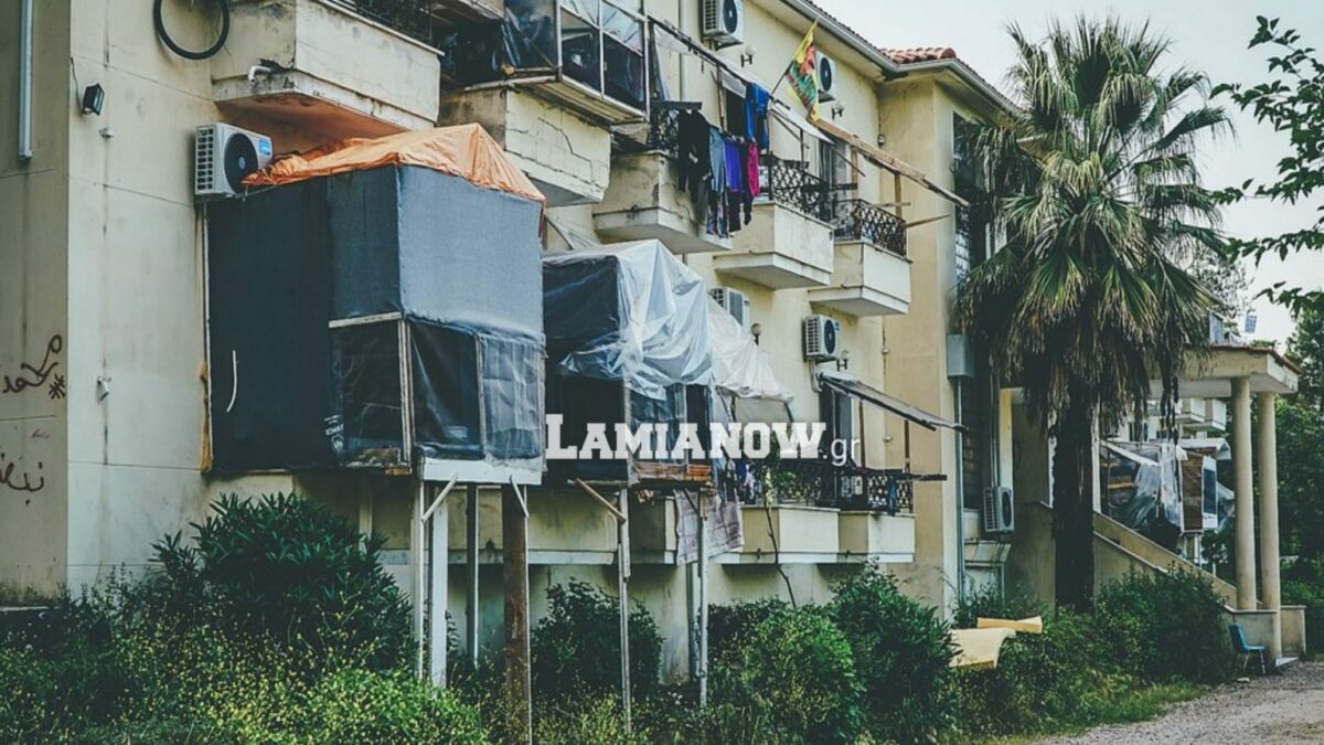 https://lamianow.b-cdn.net/wp-content/uploads/2024/03/Iamia-Now-01-1-2-1-scaled.jpg