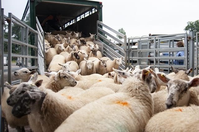 b06e213f 4d69 4fa2 a576 ab33e1fc723e 1200 | Lamianow.gr